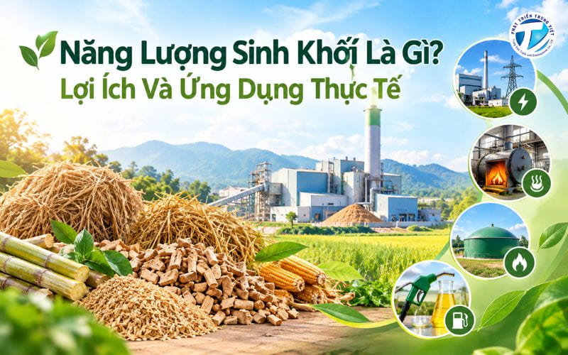 Năng Lượng Sinh Khối Là Gì? Lợi Ích Và Ứng Dụng Thực Tế